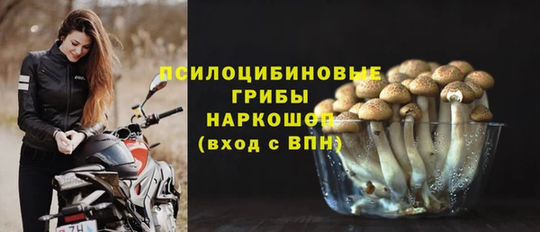 винт Кодинск