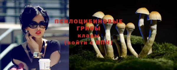 героин Алзамай
