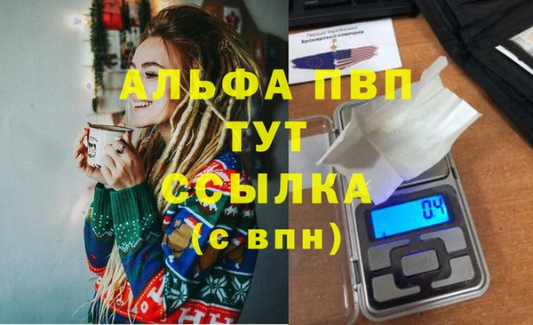 PSILOCYBIN Аркадак