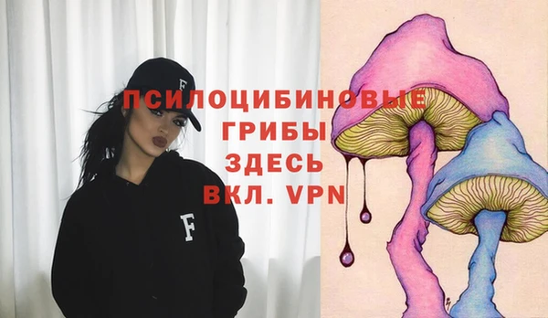 таблы Армянск