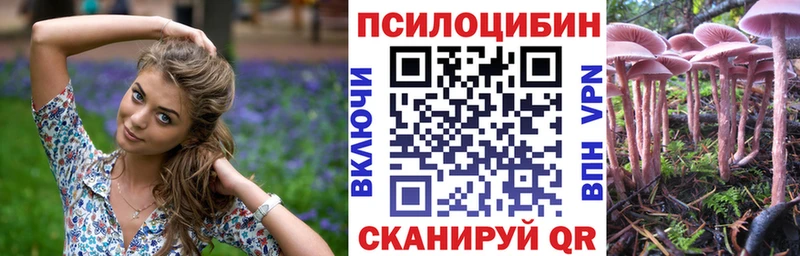 где можно купить Узловая Галлюциногенные грибы Cubensis