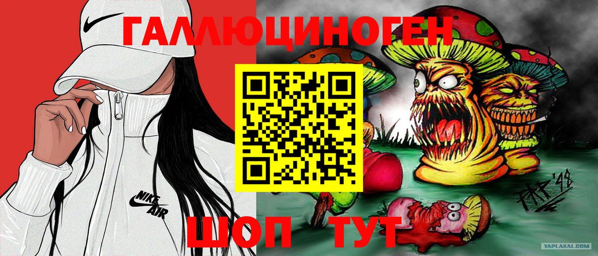 Псилоцибиновые грибы GOLDEN TEACHER  купить  сайты  Узловая  Вход с VPN  Галлюциногенные грибы Psilocybine cubensis 