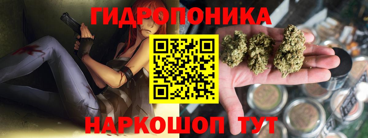 Канабис семена Узловая